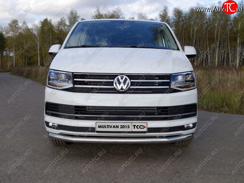 20 599 р. Защита переднего бампера нижняя d60,3 мм ТСС Тюнинг  Volkswagen Transporter  T6 (2015-2019) дорестайлинг (нержавейка)  с доставкой в г. Кемерово