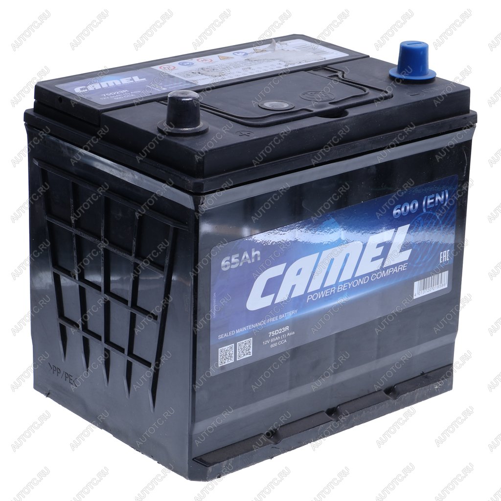 8 899 р. Аккумулятор CAMEL Asia 65Ач CAMEL 6ст65(1) 75d23r  с доставкой в г. Кемерово