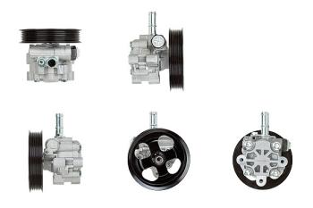 Насос ГУР для 4,2  4,4 L. RANGE ROVER SPORT, DISCOVERY III DAR ng400083