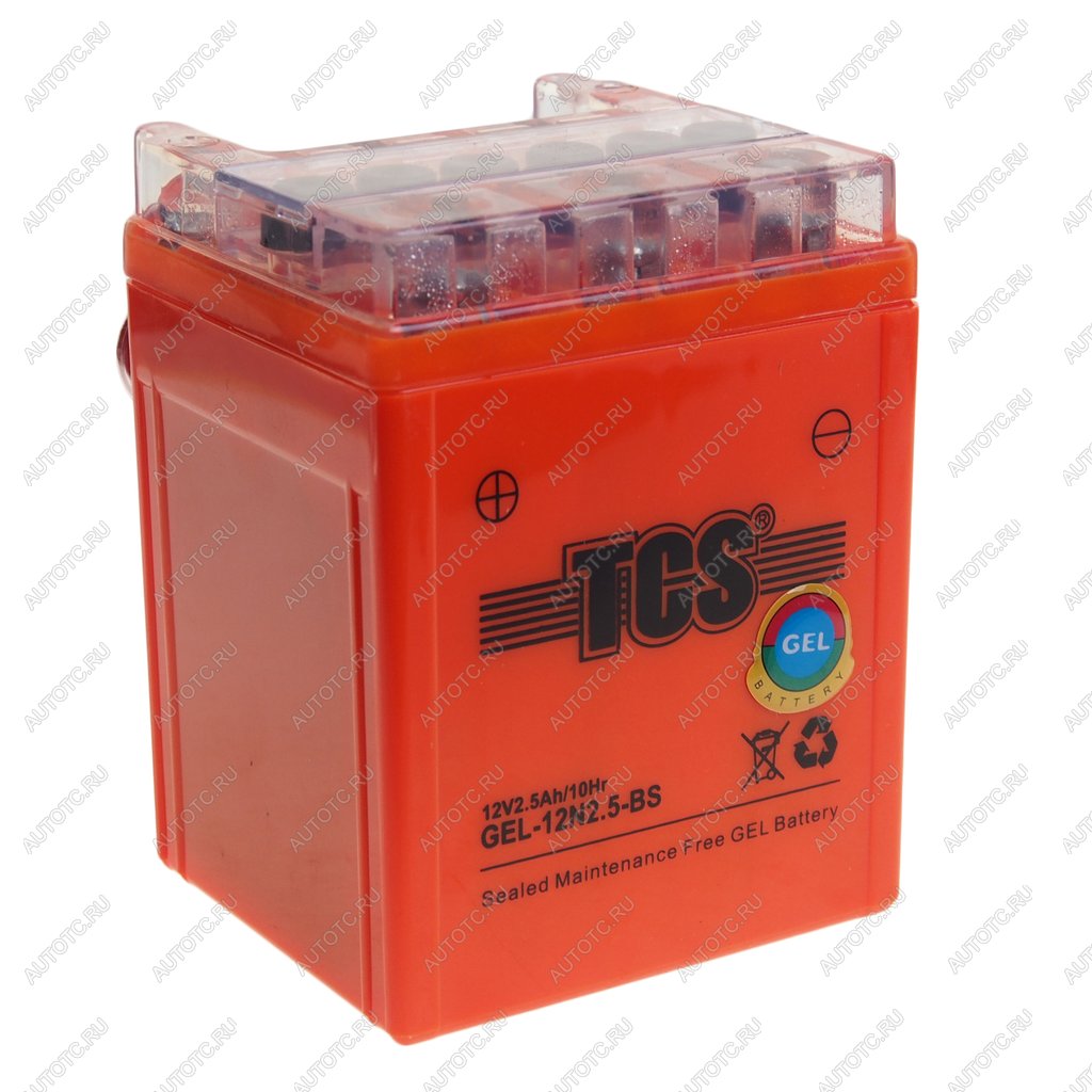 1 329 р. Аккумулятор TCS GEL 2.5Ач TCS 6ст2.5 gel-12n2.5-bs  с доставкой в г. Кемерово