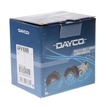 1 159 р. Ролик приводного ремня FIAT Palio обводной DAYCO DAYCO apv1068  с доставкой в г. Кемерово. Увеличить фотографию 3
