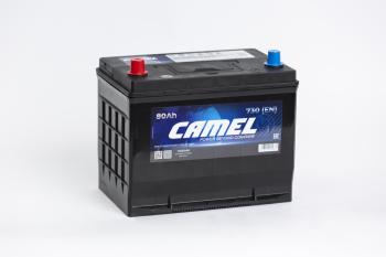 11 549 р. Аккумулятор CAMEL Asia 80Ач CAMEL 6ст80(1) 105d26r  с доставкой в г. Кемерово. Увеличить фотографию 1