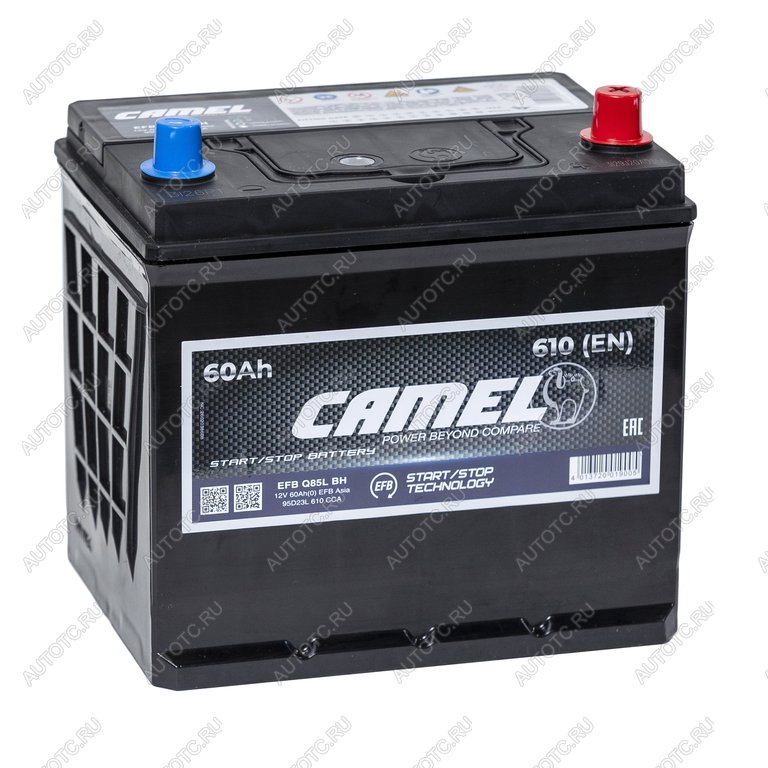 10 599 р. Аккумулятор CAMEL EFB Asia 60Ач обратная полярность CAMEL 6ст60(0) d23l q85l  с доставкой в г. Кемерово
