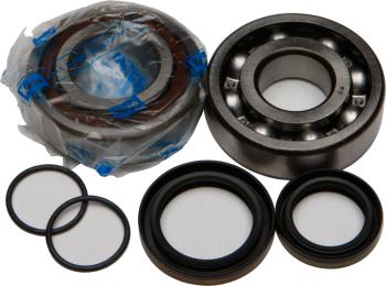 14 999 р. Компл. подшипников и сальников квала ALL BALLS KTM 125SX 98-16 Husqvarna 125TCTE 14-15  (24-1097) AllBalls 24-1097  с доставкой в г. Кемерово. Увеличить фотографию 1