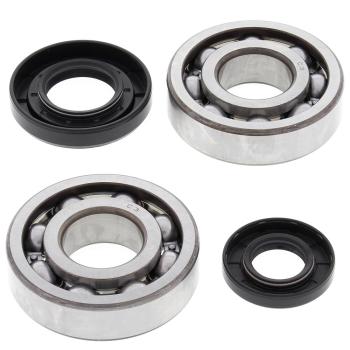 10 399 р. Компл. подшипников и сальников квала ALL BALLS Yamaha YZ250 01-16, YZ250X 16  (24-1029) AllBalls 24-1029  с доставкой в г. Кемерово. Увеличить фотографию 1