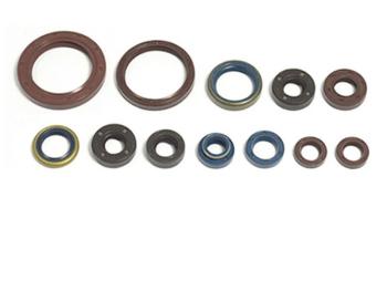 2 159 р. Комплект сальников двигателя ATHENA Yamaha FZ6 04-18 Athena p400485400604  с доставкой в г. Кемерово. Увеличить фотографию 1