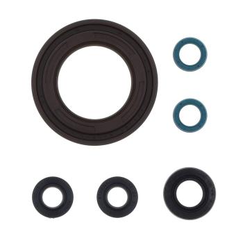 3 999 р. Комплект сальников двигателя ATHENA Yamaha TDM900 02-09 Athena p400485400158  с доставкой в г. Кемерово. Увеличить фотографию 1