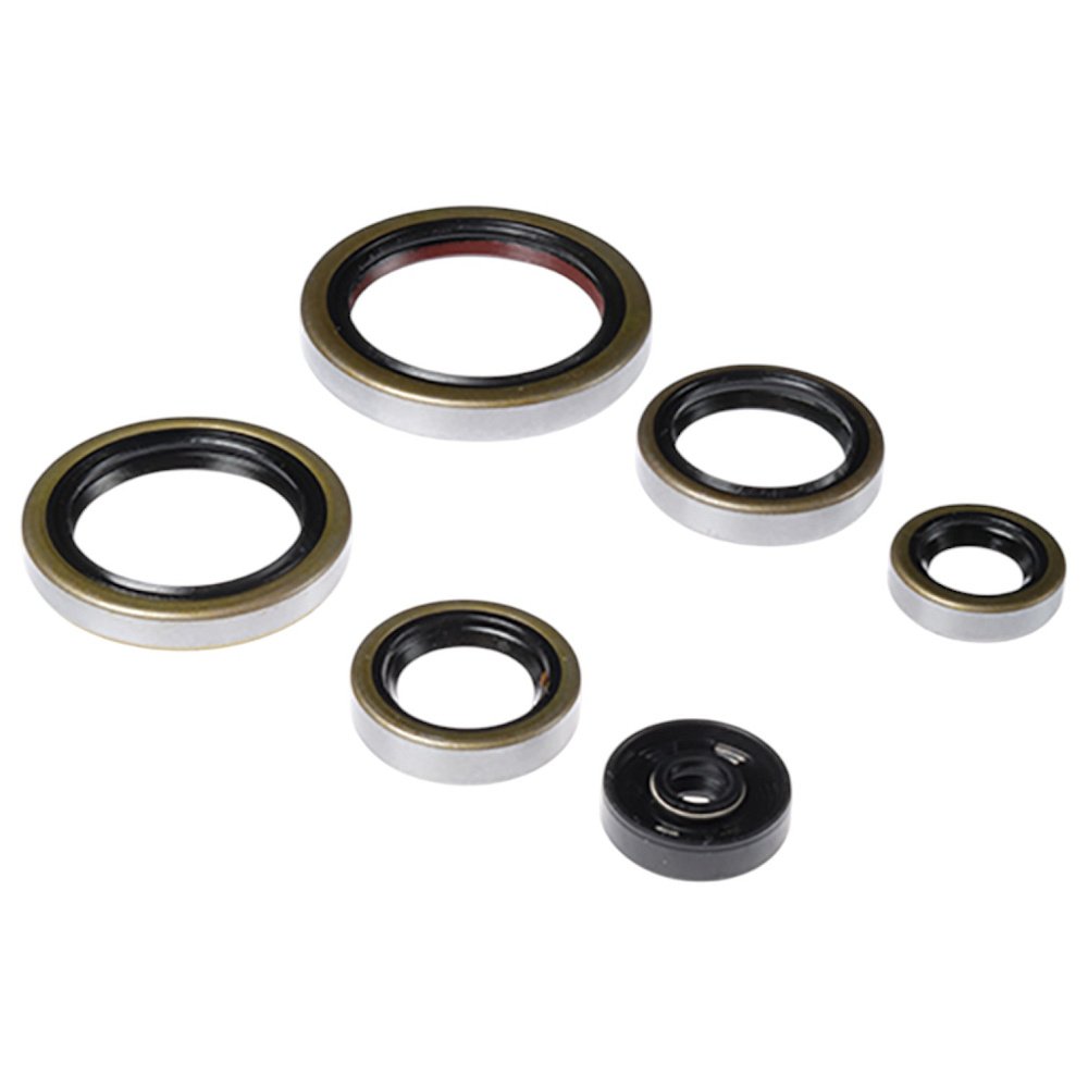 2 649 р. Комплект сальников двигателя BWX KTM SX250 03-16,Husqvarna TETC250 14-16,TE300 14-16 (822269) BearingWorX osk40269  с доставкой в г. Кемерово