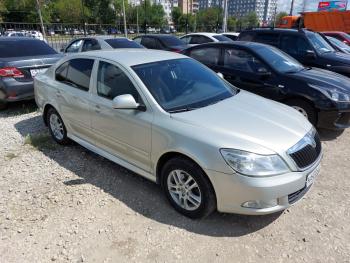 3 499 р. Пластиковые накладки порогов Фанат Тюнинг  Skoda Octavia  A5 (2004-2013) дорестайлинг лифтбэк, дорестайлинг универсал, лифтбэк рестайлинг, рестайлинг универсал (неокрашенные (глянец под окраску))  с доставкой в г. Кемерово. Увеличить фотографию 3