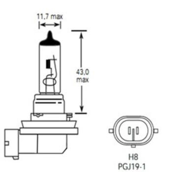 299 р. Лампа 12V H8 35W PGJ19-1 800лм Стандарт TESLAFT (Россия)  с доставкой в г. Кемерово. Увеличить фотографию 2