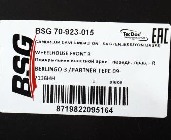 1 649 р. Подкрылок CITROEN Berlingo (08-) передний правый BSG  с доставкой в г. Кемерово. Увеличить фотографию 4