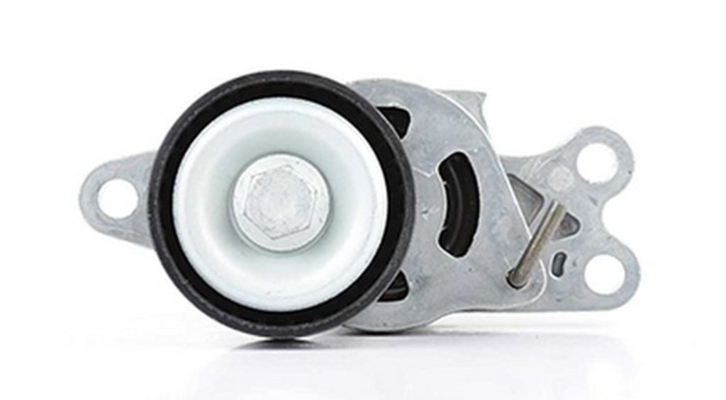 2 599 р. Ролик приводного ремня PEUGEOT 206 (00-),307 (07-) натяжителя в сборе BSG  с доставкой в г. Кемерово