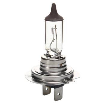 234 р. Лампа 12V H7 55W PX26d ProQ PHILIPS  с доставкой в г. Кемерово. Увеличить фотографию 1