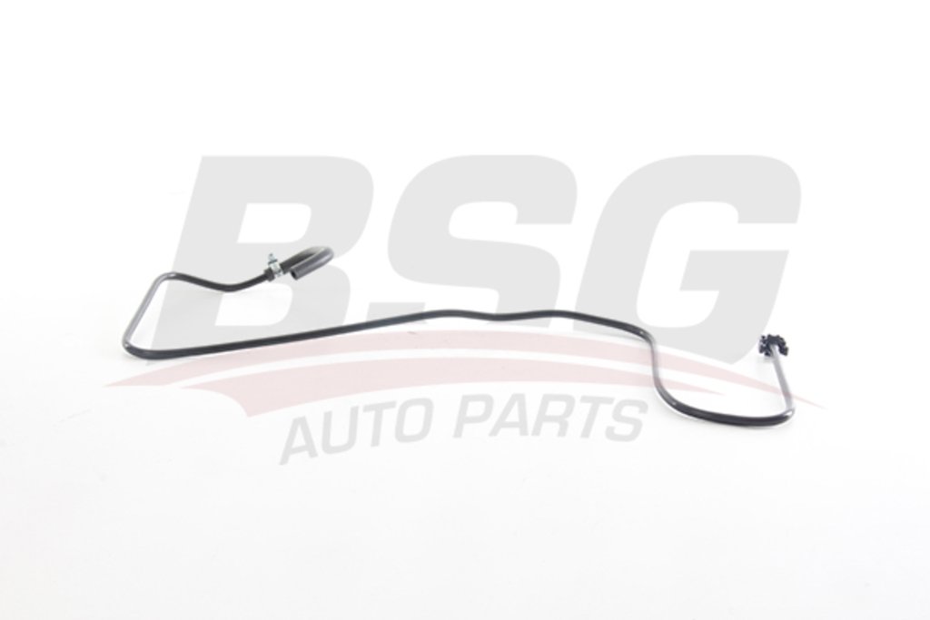 959 р. Шланг FORD Fiesta (01-),Focus(04-) бачка расширительного BSG  с доставкой в г. Кемерово