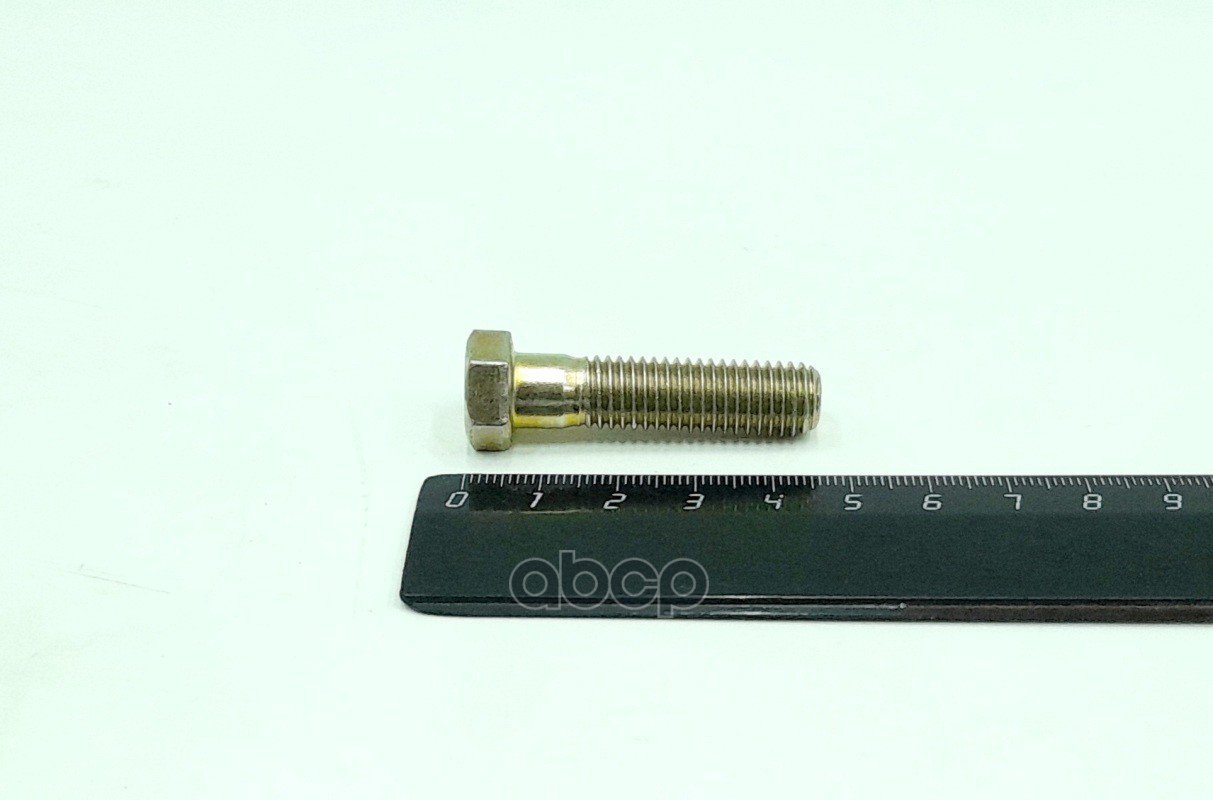 16 р. Болт М10*1,5*40 Генератора (290775-П29) Красная Этна арт. 290775-п29  с доставкой в г. Кемерово