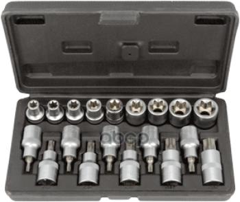 2 279 р. Набор Головок Torx 12 (19 Предм. Е10- Е24,T20-T70) Автоdело (39840) АвтоDело арт. 39840  с доставкой в г. Кемерово. Увеличить фотографию 1