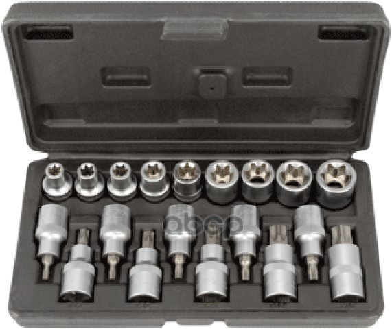 2 279 р. Набор Головок Torx 12 (19 Предм. Е10- Е24,T20-T70) Автоdело (39840) АвтоDело арт. 39840  с доставкой в г. Кемерово