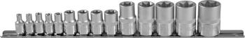 Набор Головок Torx 12, 14, 38 (14 Пред. E4-E24 Мм ) Jonnesway Рельс (S06h414s) Jonnesway арт. S06H414S