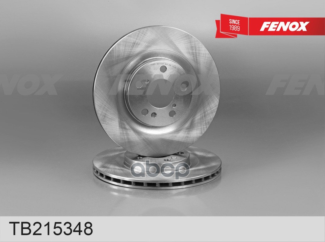 5 399 р. Диск Переднего Тормоза Haval Jolion 2Wd 21 Fenox (Tb215348) FENOX арт. TB215348  с доставкой в г. Кемерово
