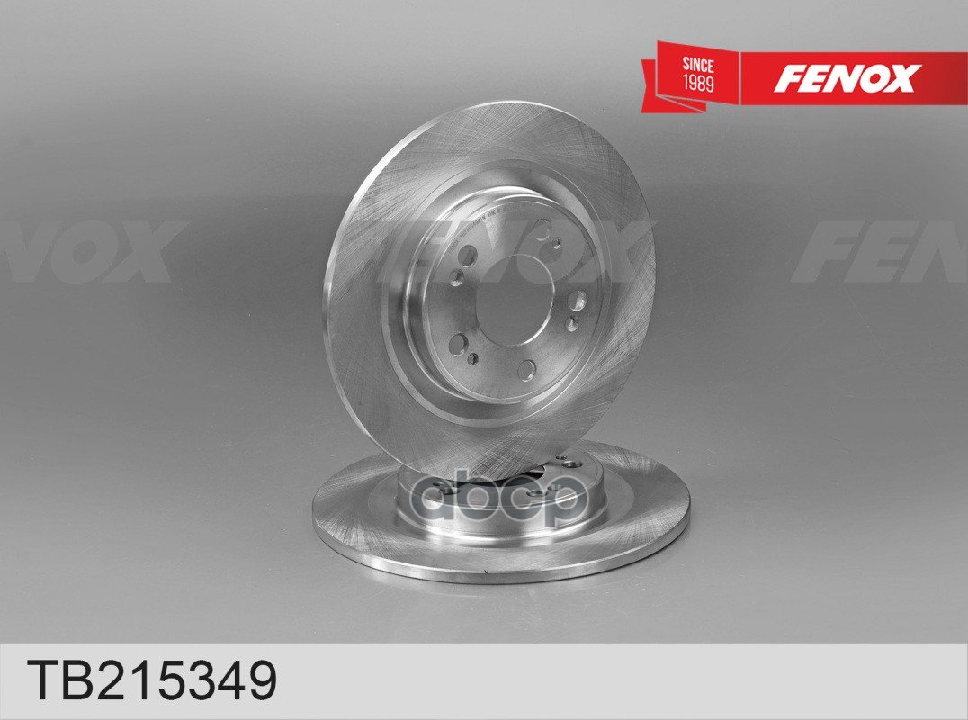 3 399 р. Диск Заднего Тормоза Haval Jolion 21 Fenox (Tb215349) FENOX арт. TB215349  с доставкой в г. Кемерово