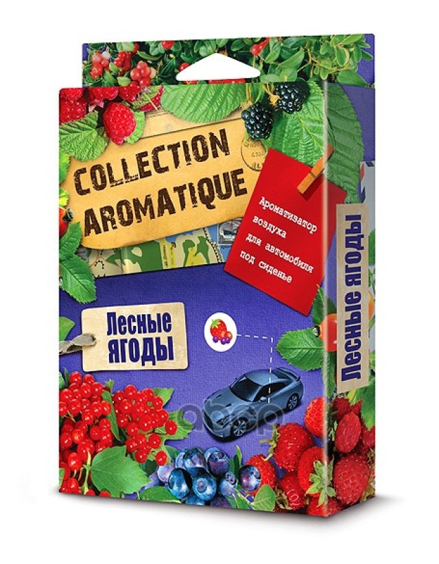 419 р. Ароматизатор Под Сиденье Fouette Collection Aromatigue Лесные Ягоды (200Мл) (Ca-12) Fouette арт. CA-12  с доставкой в г. Кемерово