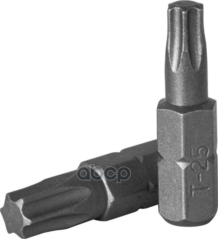 61 р. Бита Torx Т10 (14, Длина 25 Мм) Ombra (514310) OMBRA арт. 514310  с доставкой в г. Кемерово