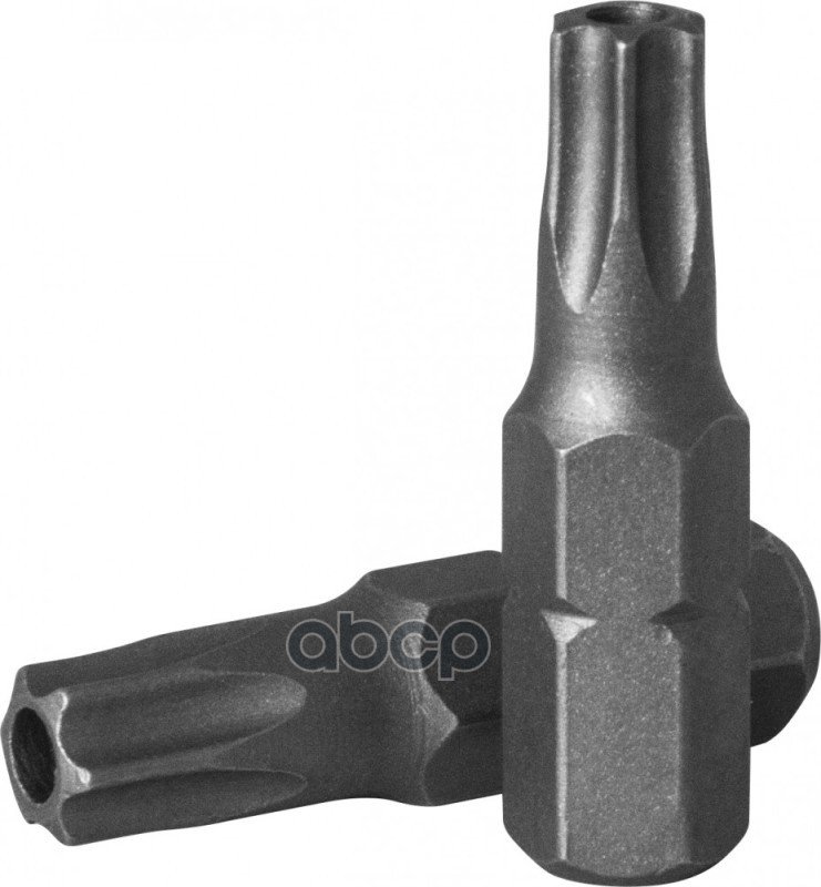 69 р. Бита T-Torx Т25 (14, Длина 25 Мм) Ombra (514825) OMBRA арт. 514825  с доставкой в г. Кемерово
