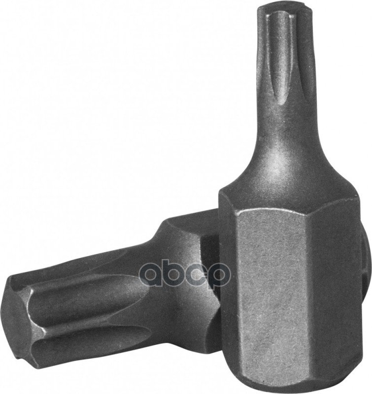 100 р. Бита Torx Т25 (Шестигр. 10 Мм, Длина 30 Мм) Ombra (531325) OMBRA арт. 531325  с доставкой в г. Кемерово