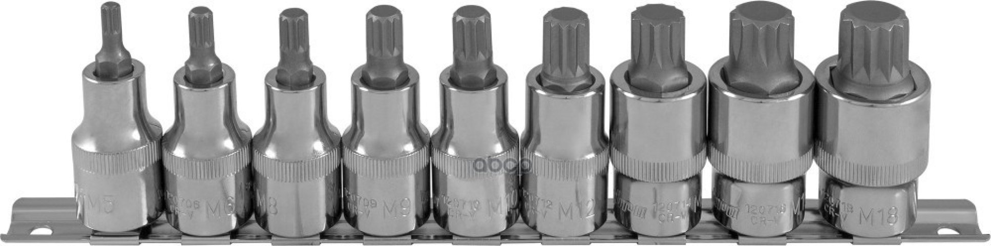 2 999 р. Набор Головок 12 Со Вставками Spline (9 Предм. M5-M18) Ombra Рельс (912779) OMBRA арт. 912779  с доставкой в г. Кемерово