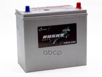 Аккумулятор  55 Husky Smf Asia Прямая Полярность (Тонкие Клеммы) Husky арт. 3B245551BB001