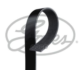 5 269 р. Ремень 10Pk2495 Gates арт. 10PK2495HD  с доставкой в г. Кемерово. Увеличить фотографию 1