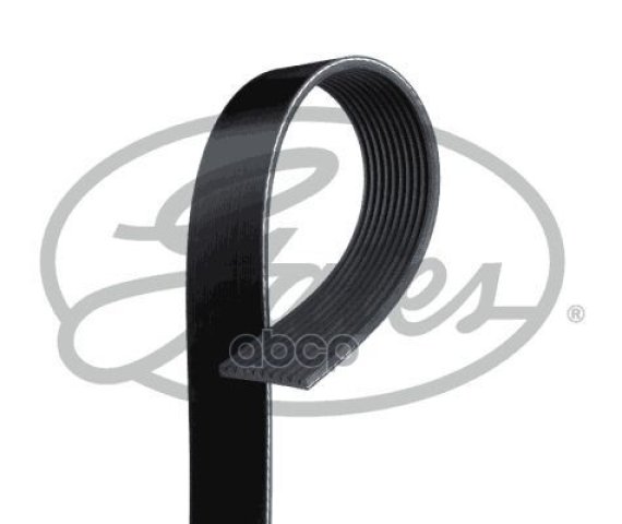 5 269 р. Ремень 10Pk2495 Gates арт. 10PK2495HD  с доставкой в г. Кемерово