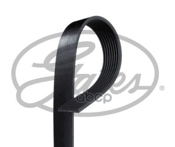 2 599 р. *Ремень Gates арт. 8PK1538HD  с доставкой в г. Кемерово