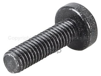 23 р. *Болт Torx DAF арт. 1299706  с доставкой в г. Кемерово. Увеличить фотографию 2