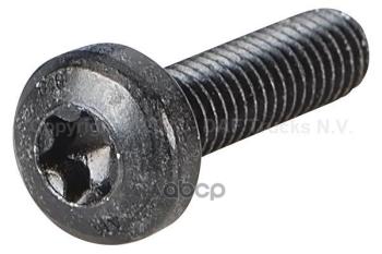 *Болт Torx DAF арт. 1299706