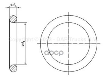 739 р. Кольцо Уплотнительное Поворотного Кулака 66.34X2.62mm DAF арт. 1369176  с доставкой в г. Кемерово. Увеличить фотографию 2
