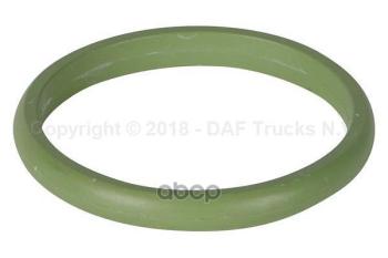 1 339 р. Кольцо Уплотнительное Масляной Трубки DAF арт. 1608394  с доставкой в г. Кемерово. Увеличить фотографию 1