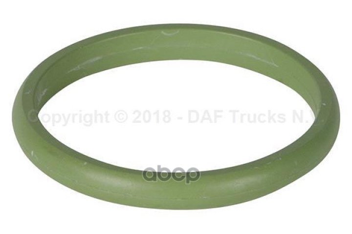 1 339 р. Кольцо Уплотнительное Масляной Трубки DAF арт. 1608394  с доставкой в г. Кемерово