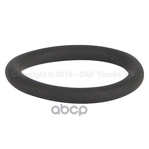 429 р. 1634851 Кольцо 13.1X2.62 Mm DAF арт. 1634851  с доставкой в г. Кемерово