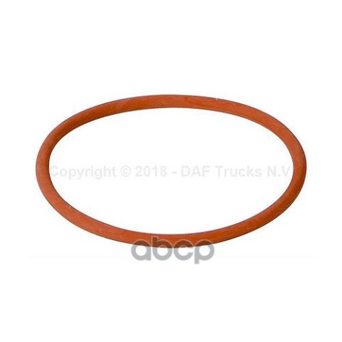 779 р. 1664753 Кольцо Уплотнительное Топливного Насоса Резина DAF арт. 1664753  с доставкой в г. Кемерово