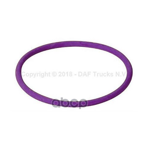 929 р. 1664754 Кольцо Уплотнительное Топливного Насоса Резина DAF арт. 1664754  с доставкой в г. Кемерово