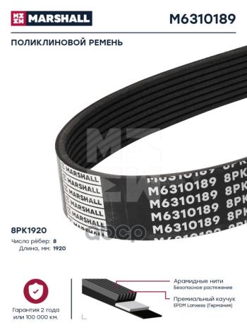 2 029 р. Ремень 8Pk1920 Man MARSHALL арт. M6310189  с доставкой в г. Кемерово. Увеличить фотографию 2