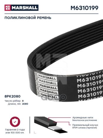 1 489 р. Ремень 8Pk2080 MARSHALL арт. M6310199  с доставкой в г. Кемерово. Увеличить фотографию 2