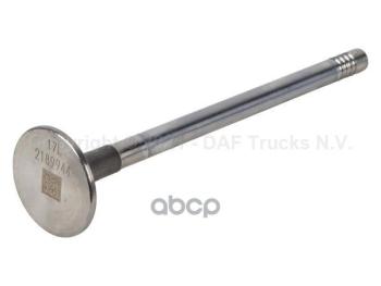 9 949 р. Клапан Выпуска Ог DAF арт. 2189944  с доставкой в г. Кемерово. Увеличить фотографию 2
