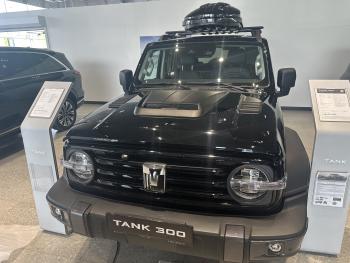 21 999 р. Накладки на капот RALEX  Tank 300 (2020-2025) (черный матовый)  с доставкой в г. Кемерово. Увеличить фотографию 22