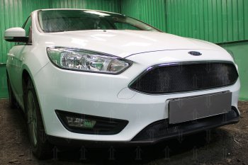 2 879 р. Защитная сетка в бампер (низ, ячейка 3х7 мм) Alfeco Стандарт Ford Focus 3 седан рестайлинг (2014-2019) (Чёрная)  с доставкой в г. Кемерово. Увеличить фотографию 2