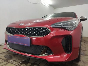 3 089 р. Защитная сетка в бампер (низ, ячейка 3х7 мм) Alfeco Стандарт  KIA Stinger (2017-2025) (Чёрная)  с доставкой в г. Кемерово. Увеличить фотографию 4