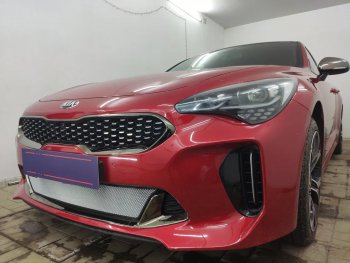3 489 р. Защитная сетка в бампер (низ, ячейка 3х7 мм) Alfeco Стандарт KIA Stinger (2017-2025) (Хром)  с доставкой в г. Кемерово. Увеличить фотографию 2