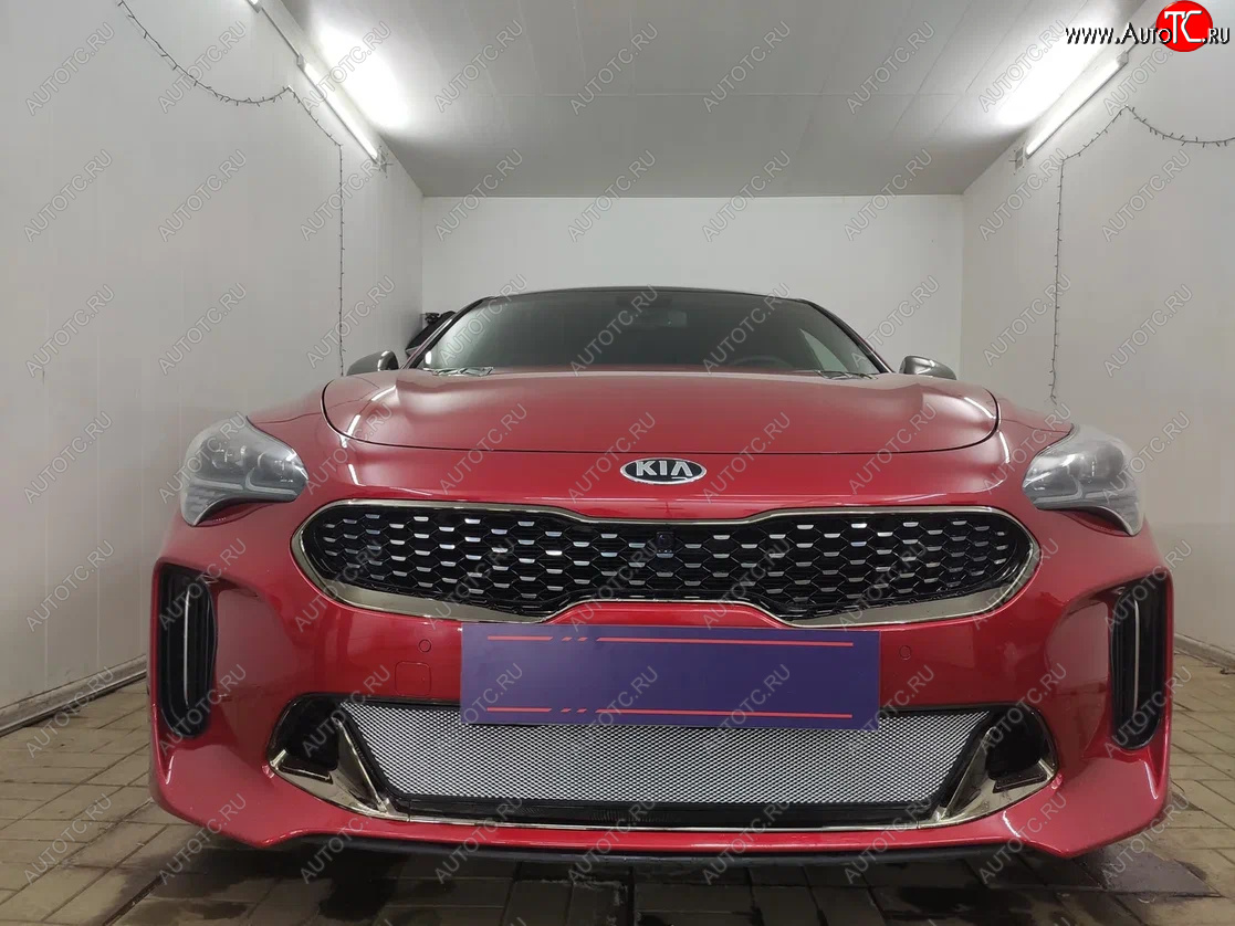 3 489 р. Защитная сетка в бампер (низ, ячейка 3х7 мм) Alfeco Стандарт KIA Stinger (2017-2025) (Хром)  с доставкой в г. Кемерово