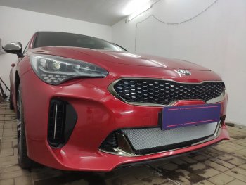 3 489 р. Защитная сетка в бампер (низ, ячейка 3х7 мм) Alfeco Стандарт KIA Stinger (2017-2025) (Хром)  с доставкой в г. Кемерово. Увеличить фотографию 3